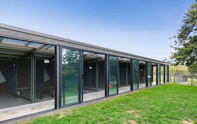 Premium Dog Boarding Melbourne – Safe, Loving Care at A Dogs Domain and Cats too