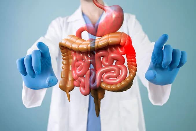 Gastroenterologist 