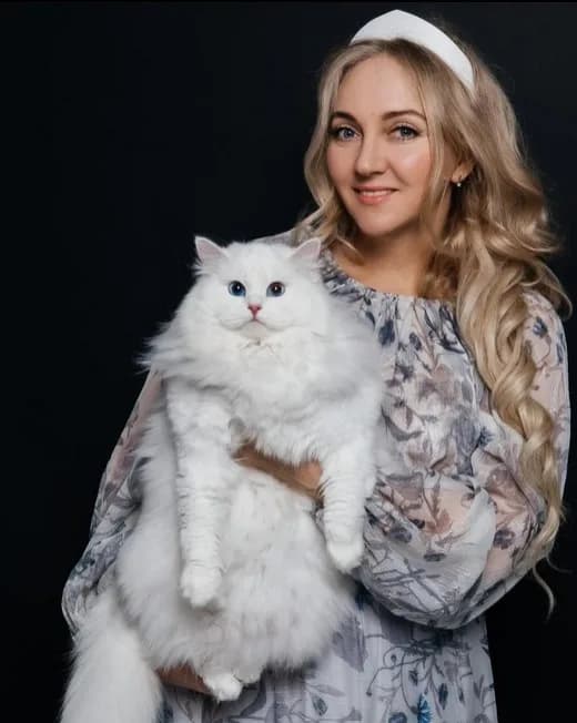 Siberian Kitten for Sale – Siberian Home
