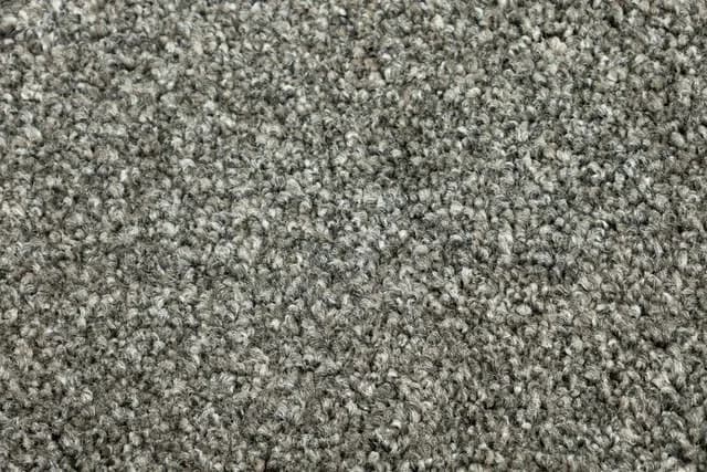 Cut Pile Carpet for a Comfortable Feel in Every Room 
