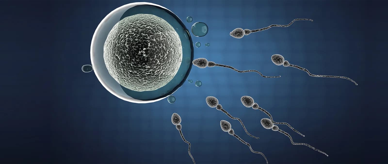 Get Expert Male Infertility Treatment in Delhi | Fertylity IVF