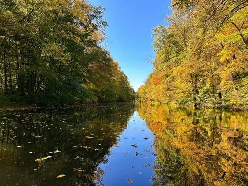 Telehealth Therapy in Princeton for Convenient Mental Health Support