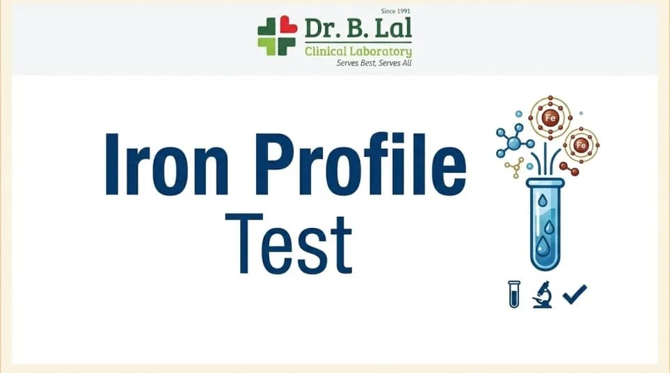 Iron Profile Test with 5 Key Parameters | In-Depth Iron Analysis