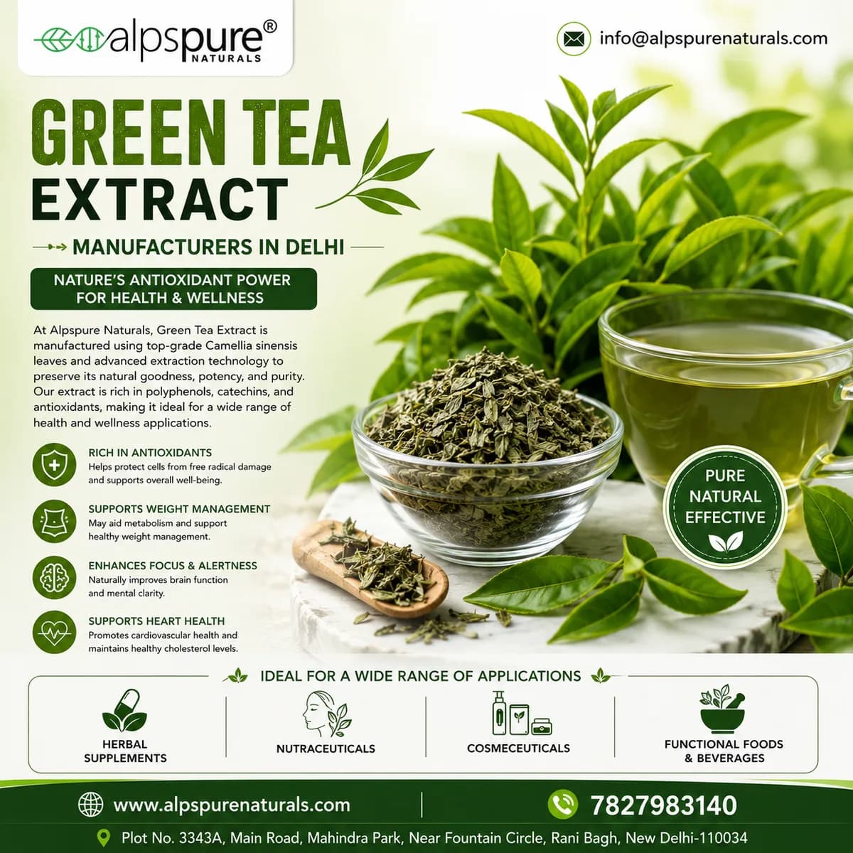 Green Tea Extract Manufacturers in Delhi
