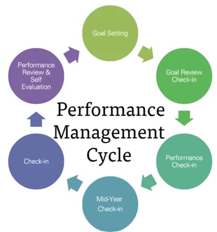 Employee Performance Evaluation Solutions