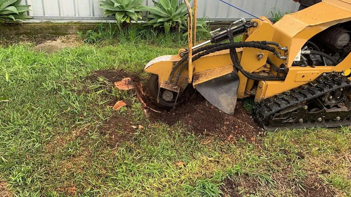 Stump Grinding Lubbock | Tree Stump Removal, & Land Clearing Services in Lubbock, TX