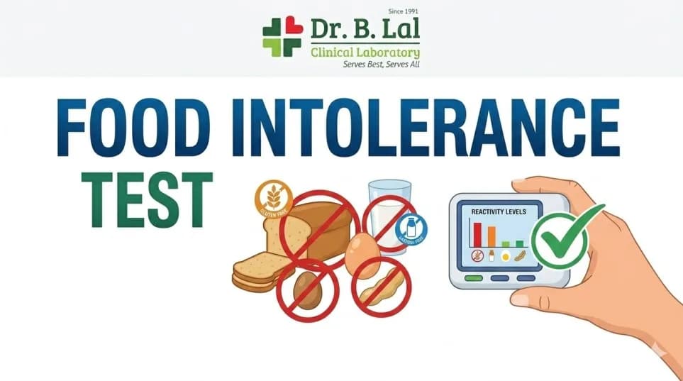 Food Intolerance Test for Athletes & Active Individuals | Optimize Performance
