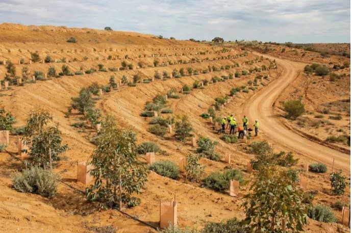 land restoration solutions Park Holme