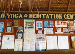 200 Hour Yoga Teacher Training Lombok | Enroll Today