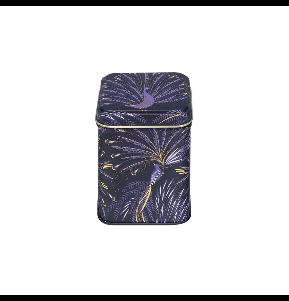 Decorative Tin Boxes with Lids for Home Display & Everyday Use