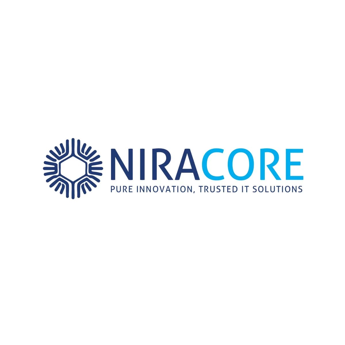 NIRACORE | AI, BI and Custom Software Solutions