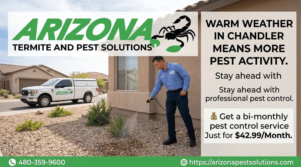 Pest Control Experts in Chandler, AZ | Fast & Affordable Pest Control