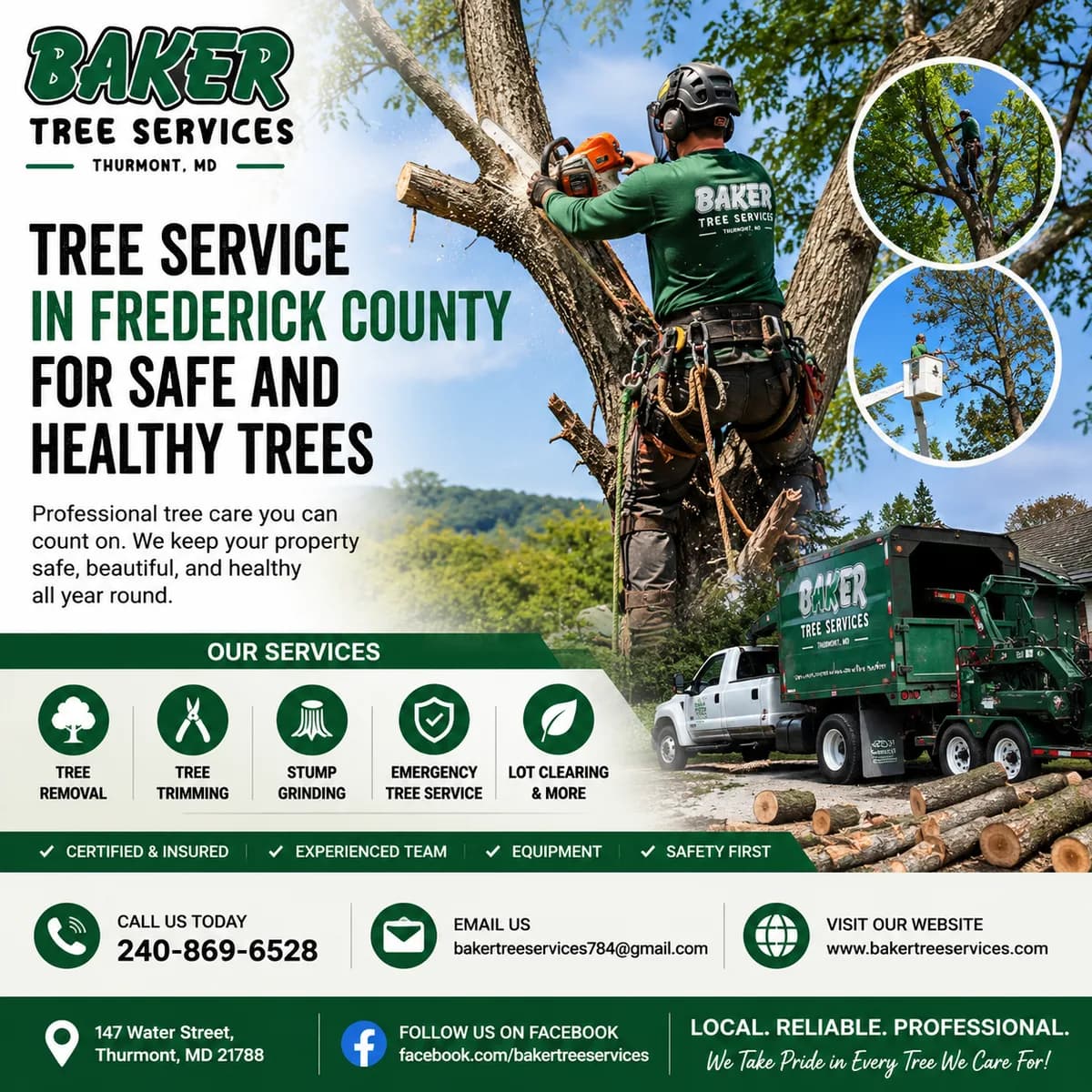 Tree Service Montgomery County for Routine Tree Maintenance Needs