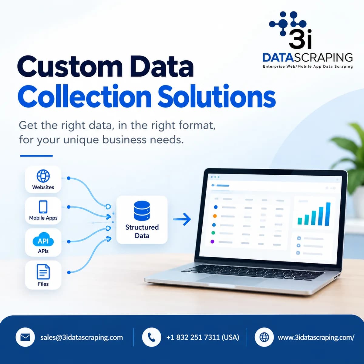 Data Collection Services for Business Insights
