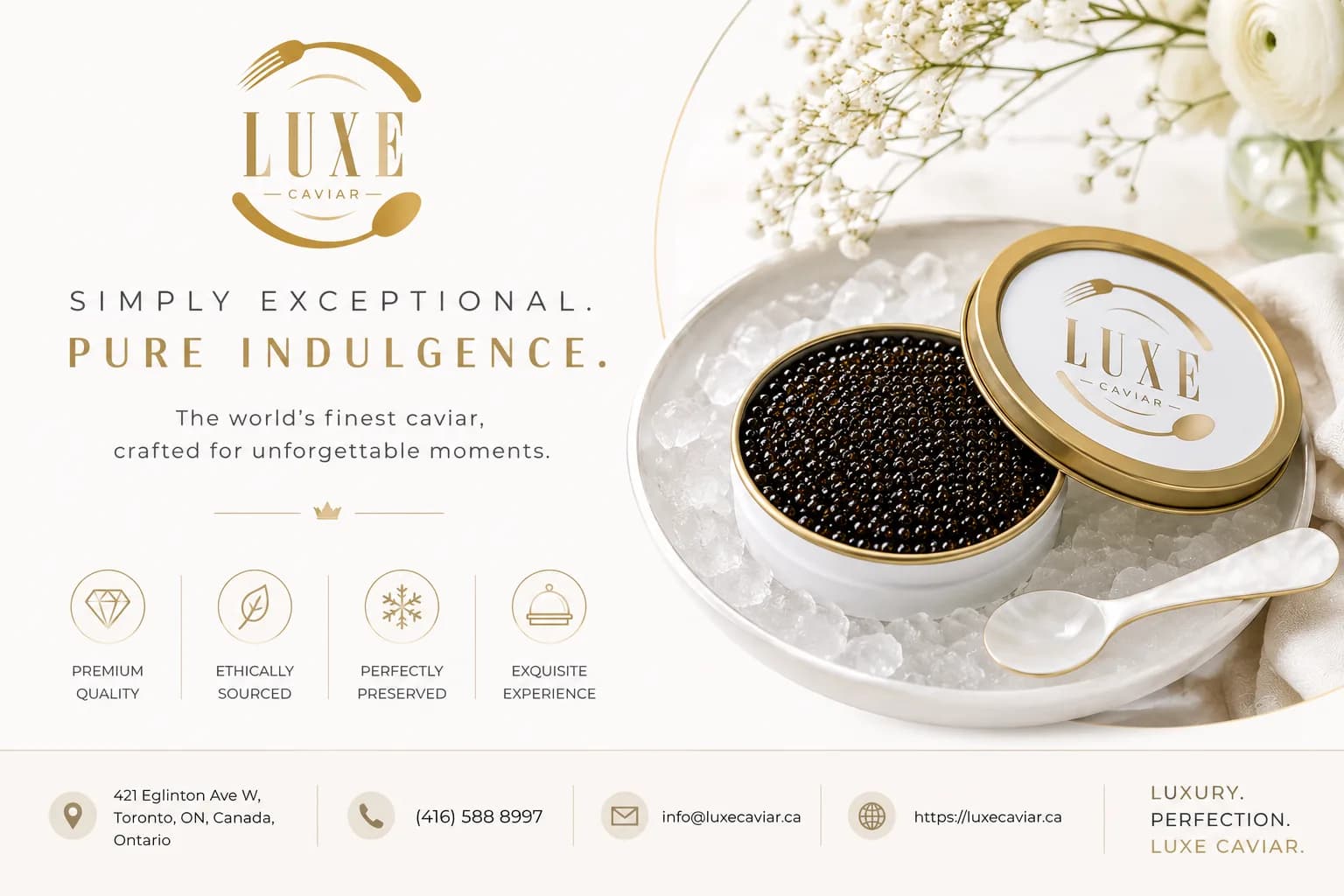Buy Beluga Caviar from a Trusted Canadian Luxury Supplier