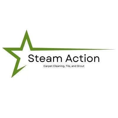 Steam Action Carpet Cleaning