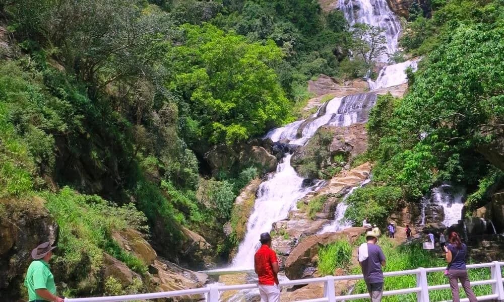 Discover the Magic of Sri Lanka with a Perfectly Planned Holiday 