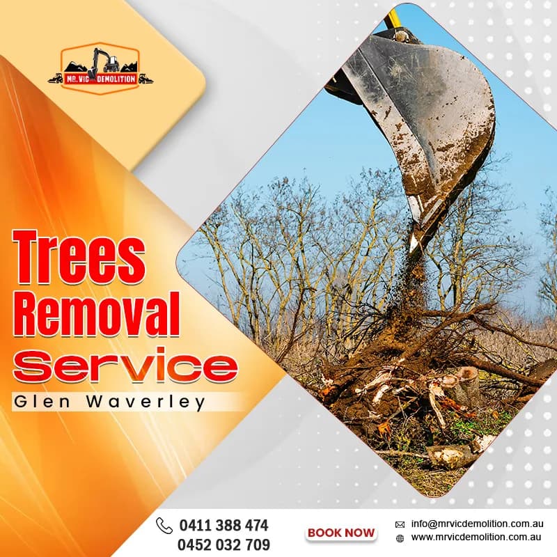 Safe Tree Removal Service in Glen Waverley