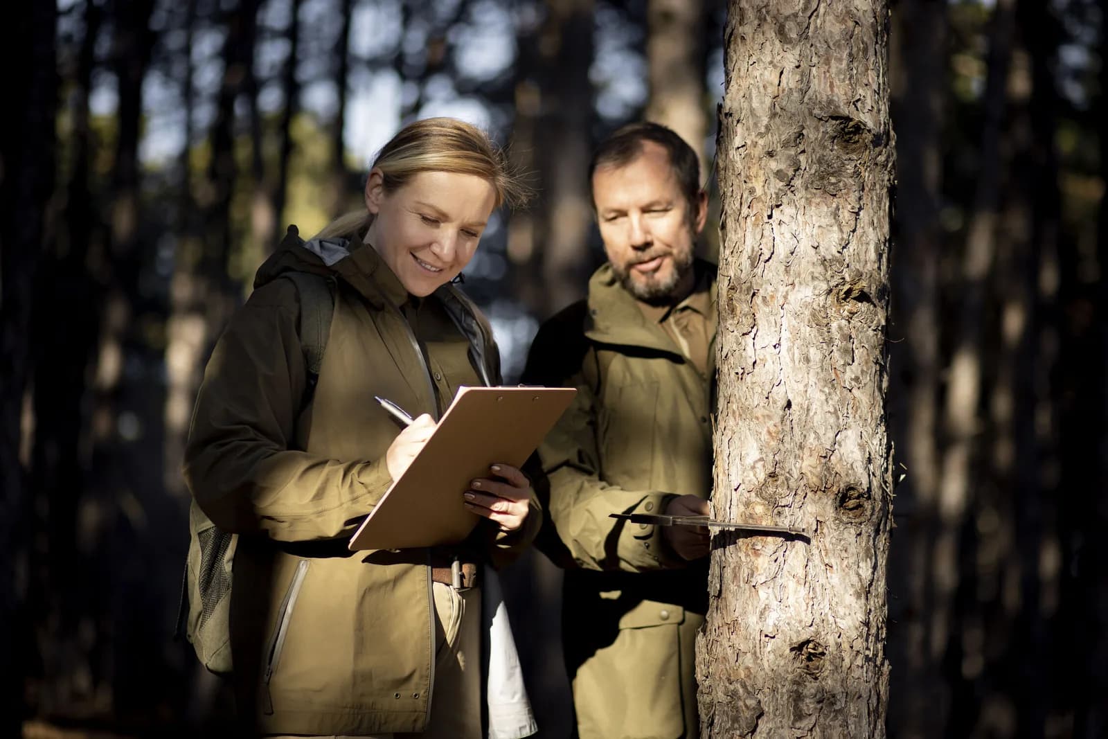 VT Forestry and Ecosystem Management: A Guide to Sustainable Stewardship