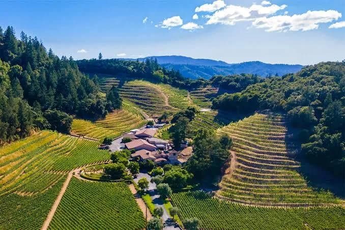 Organic Winery Napa Valley