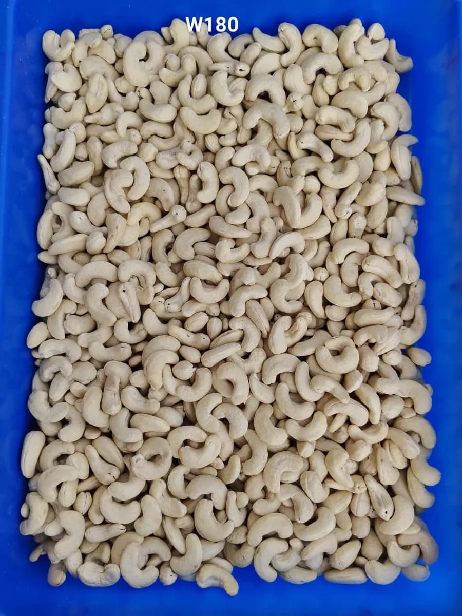 CASHEW NUTS-WHOLESALER-DISTRIBUTOR IN Ajnala Baba Bakala Majitha AMRITSAR