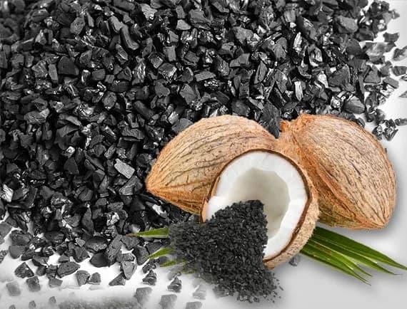 Coconut Shell Activated Carbon