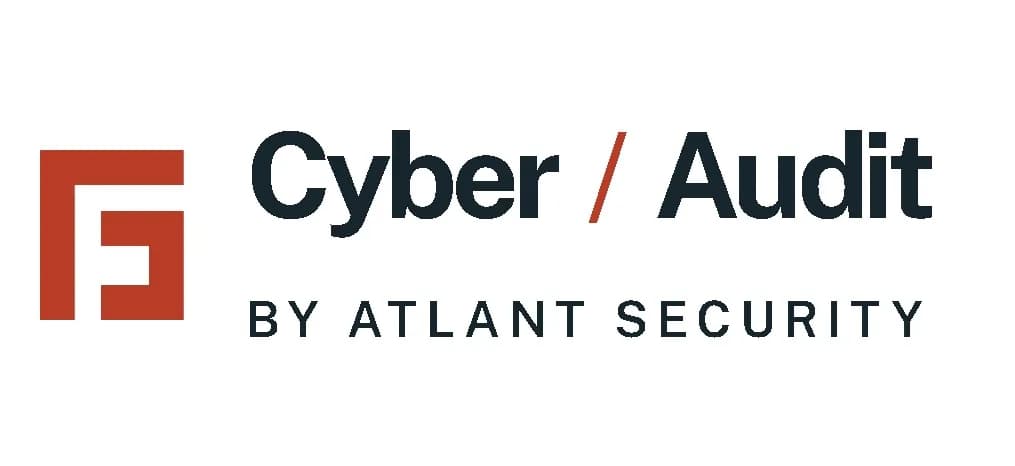 cybersecurity audit services
