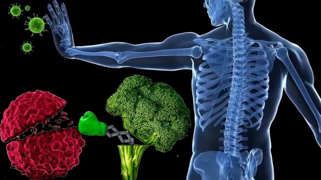 Targeted Immunotherapy Treatment in Noida by Experts