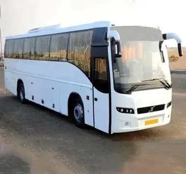 Volvo Bus Hire for Weddings: Guest Transport
