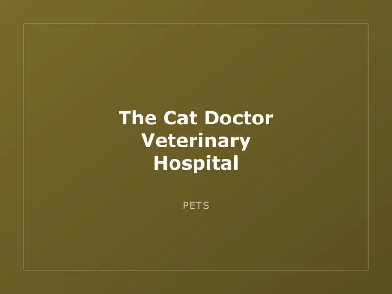 The Cat Doctor Veterinary Hospital