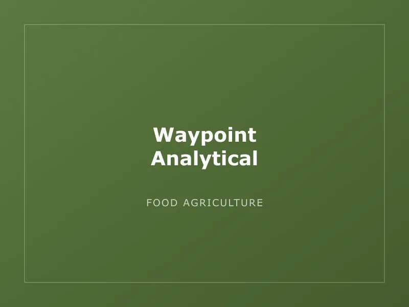 Waypoint Analytical