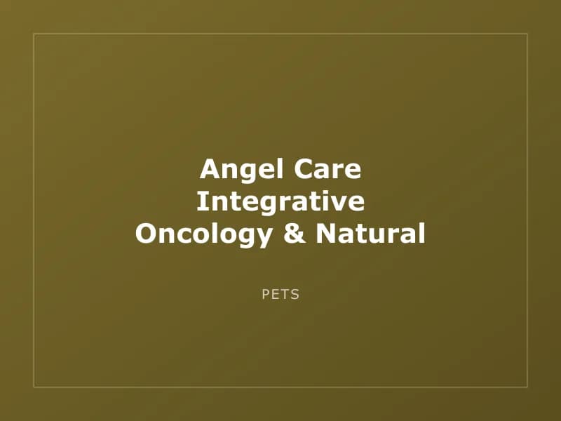 Angel Care Integrative Oncology & Natural Healing for Pets