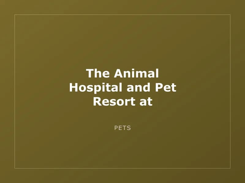 The Animal Hospital and Pet Resort at Southwood