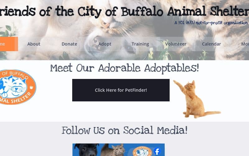 Buffalo Animal Shelter