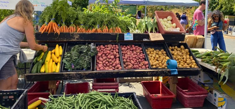 Portland Farmers Market