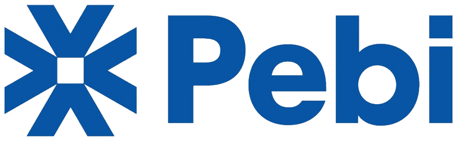 software development company