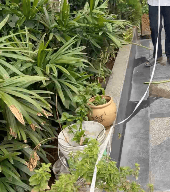 Vadodara Landscaping Company