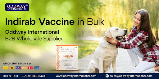 Buy Indirab in Philippines – Trusted Rabies Protection - Oddway International