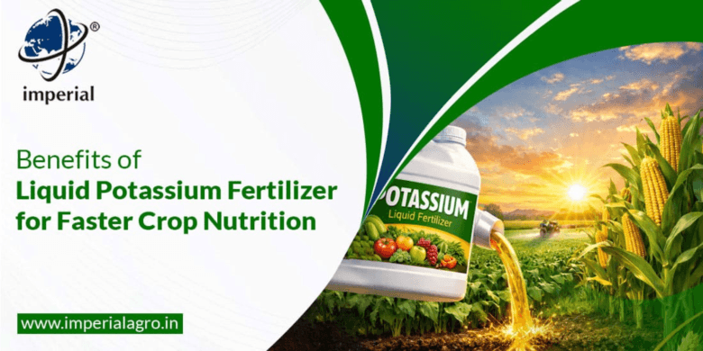 Crop nutrient solutions provider in Vadodara | imperialagro