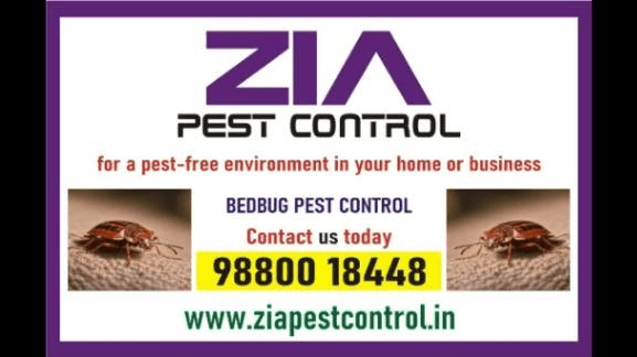 Bed Bugs Control | Bed Bugs Services near me | bed bugs Treatment | 9003
