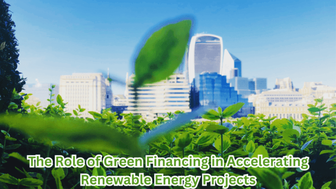 public loans and investments in corporate infrastructure and financing of green energy projects