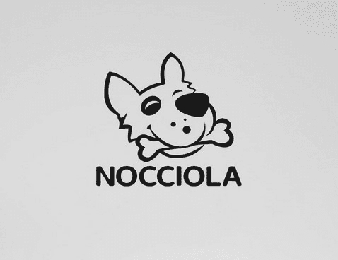 nocciolatoys.com 20% off 5 PCS Crinkle Plush Dog Toys