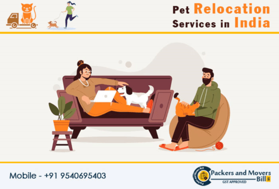 Relocate Your Pet Anywhere in India With Expert Pet Movers
