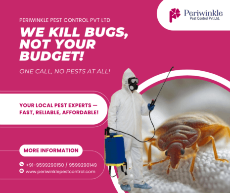 Effective Bed Bug Extermination & Pest Control Services in Greater Noida