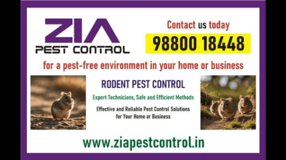 AD TITLE / HEADING Bangalore Rodent Control | Safe & Effective Pest Control | Book Now | 297