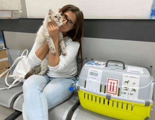 Healthy Siberian Kittens for Sale