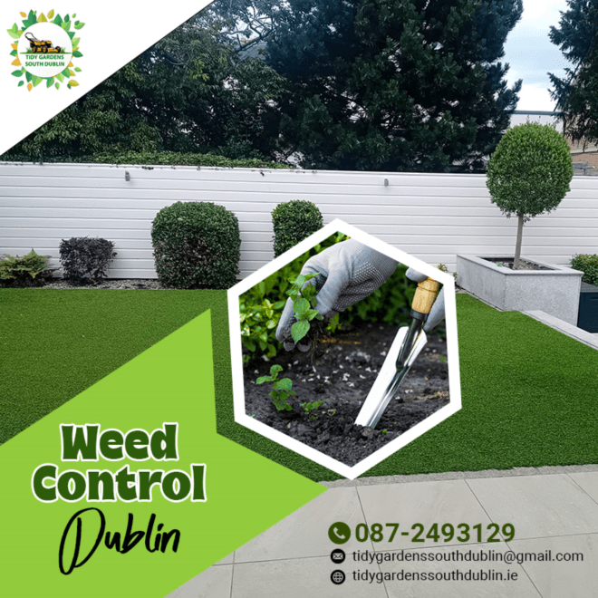Get rid of weeds from your garden with Tidy Gardens South Dublin services