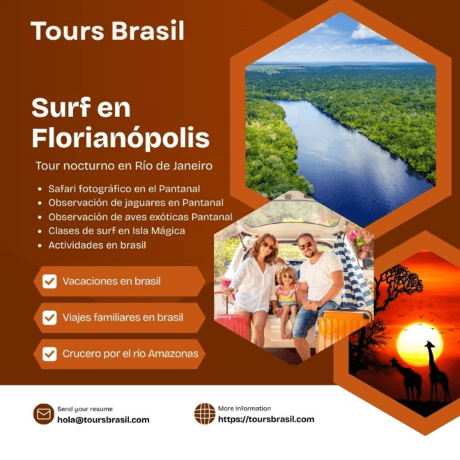 Vida marina Fernando de Noronha con Tours Brasil: Un Paraíso Submarino