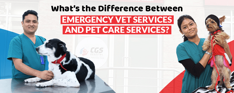 Pet Care Services | CGS Hospital