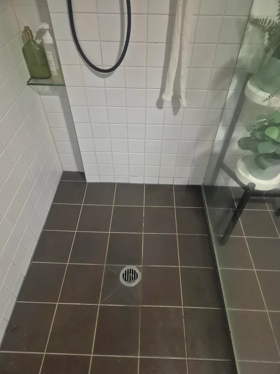 Bathroom Shower Leak Repair for a Cleaner Safer Bathroom